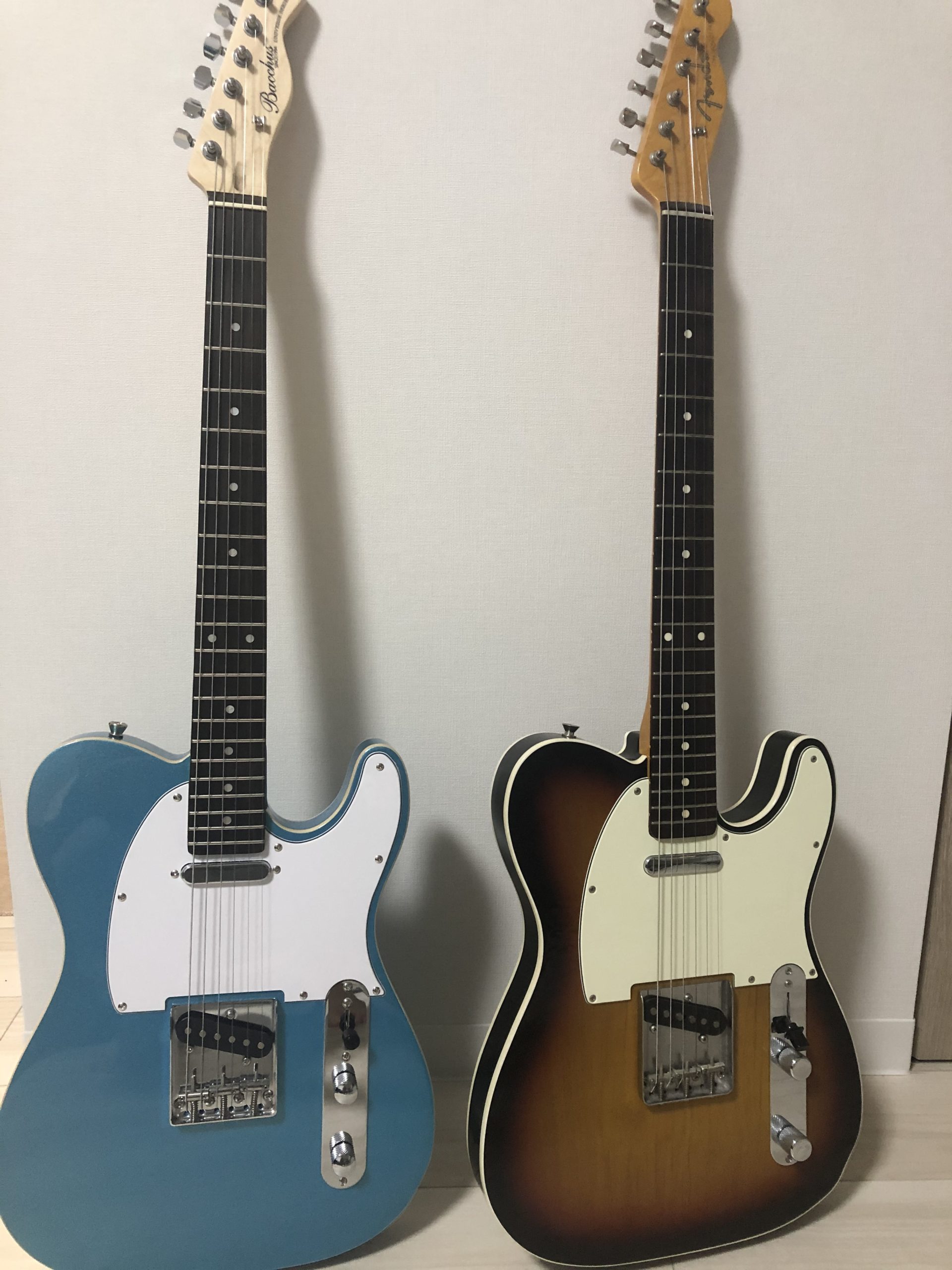 BACCHUS TELECASTER Type （管理サナ） | ethicsinsports.ch